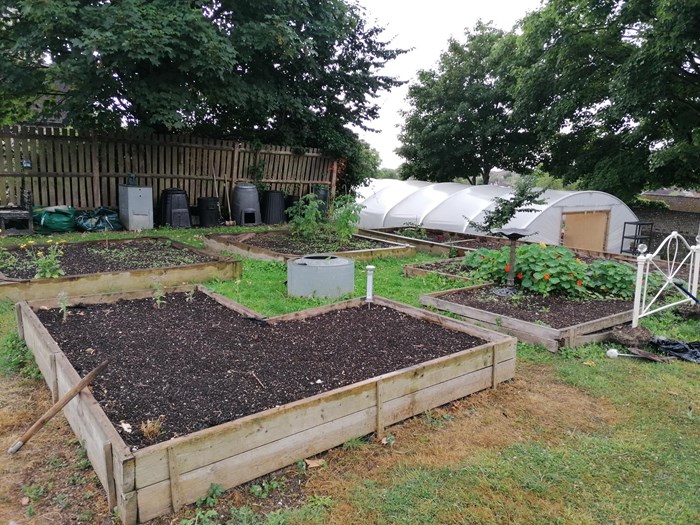 Allotment and polytunnel exterior